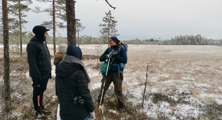 Groepsreizen Zweden najaar